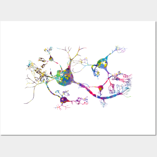 Neurons and nervous system Posters and Art